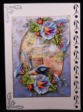 Morning Glory Bird at the Rose Cottage by Yvonne Middleton