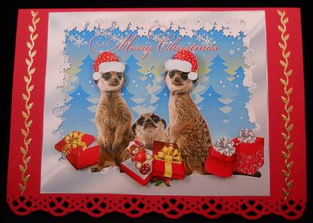 Meerkat Christmas by Yvonne Middleton