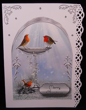 Christmas Robins Arched Topper by Yvonne Middleton