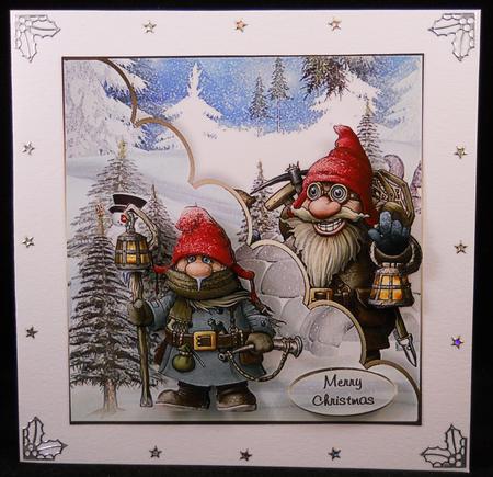 The Christmas Exploreres by Yvonne Middleton