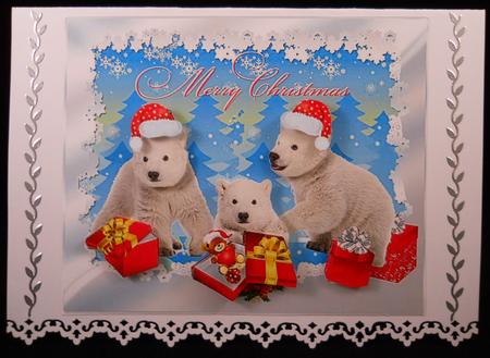 Polar Cubs Christmas by Yvonne Middleton