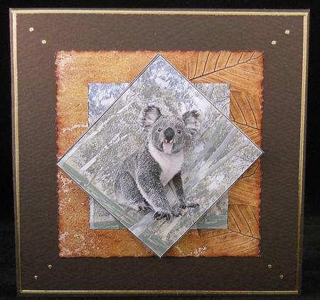 Koala by Yvonne Middleton