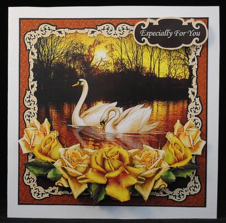 Nature's Call - Sunset Swans by Yvonne Middleton