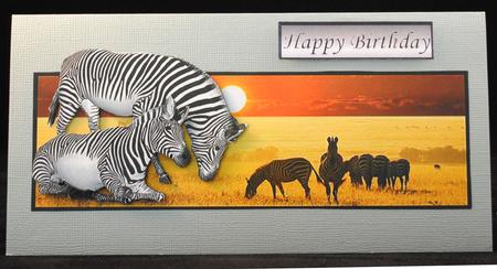 Zebra Landscape Over the Edge by Yvonne Middleton