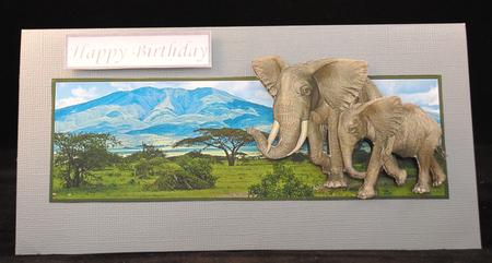 Elephant Landscape Over the Edge by Yvonne Middleton