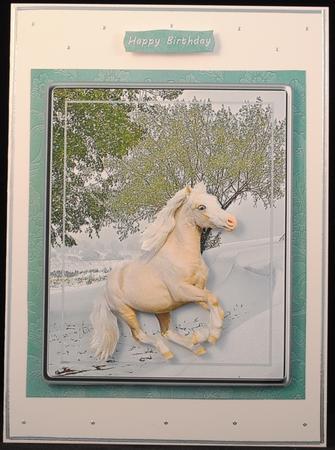 White Beauty by Yvonne Middleton