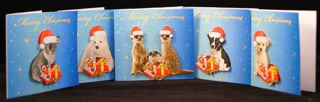Furry Friends Christmas Gift Cards by Yvonne Middleton