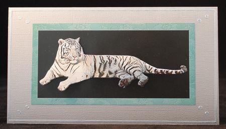 Majestic White Tiger by Yvonne Middleton