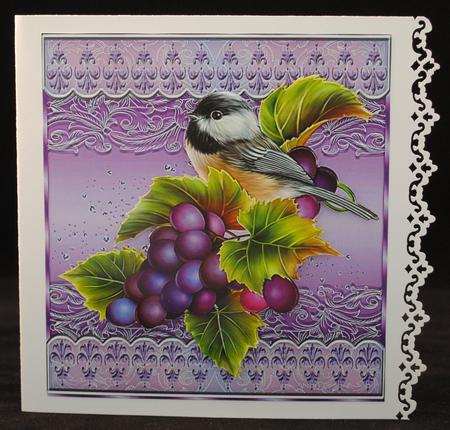 Bird and Grapes by Yvonne Middleton