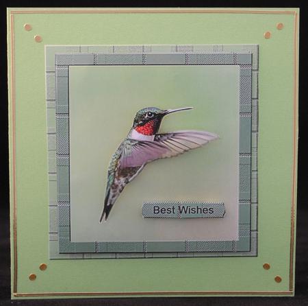 Sweet Hummingbird by Yvonne Middleton