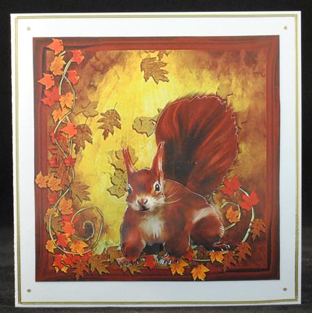 Nuts by Yvonne Middleton