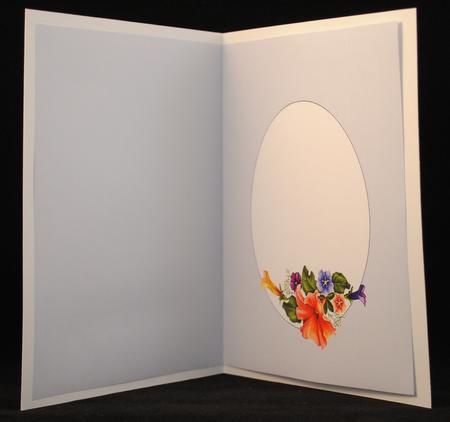 Petunias Insert by Yvonne Middleton