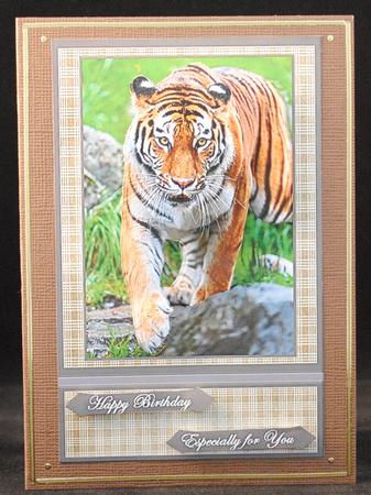 Siberian Tiger by Yvonne Middleton