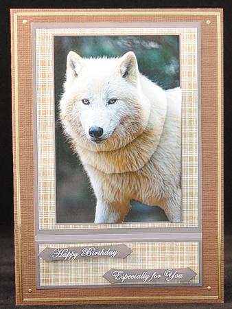White Polar Wolf by Yvonne Middleton