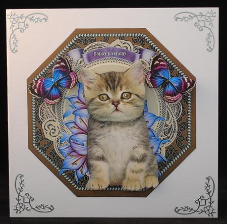 Octagon Cute Kitten by Yvonne Middleton