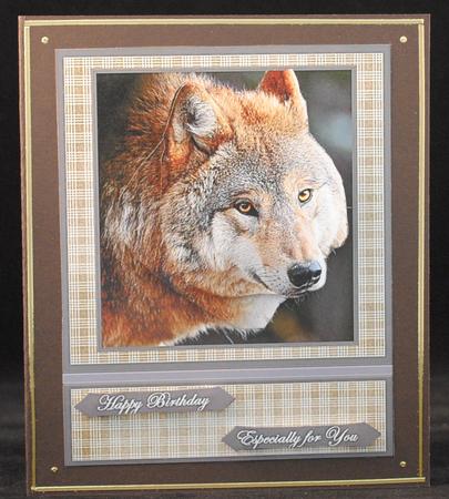 Wolf Portrait by Yvonne Middleton