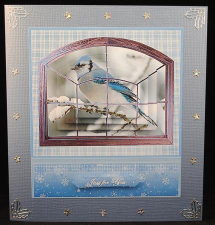 Blue Jay Through the Window by Yvonne Middleton