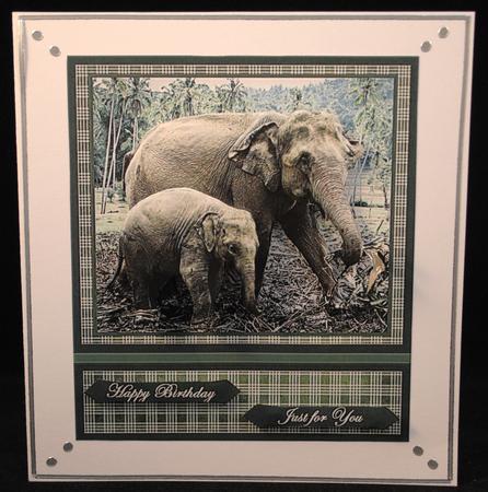 Elephant Mum and Calf by Yvonne Middleton