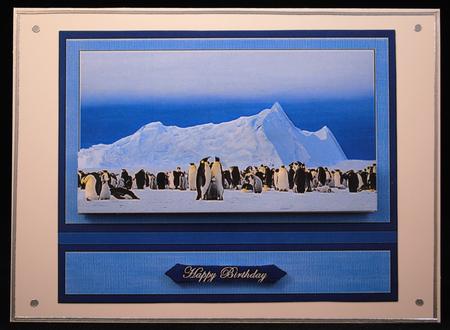 Happy Feet Here We Come by Yvonne Middleton
