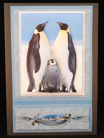 Our Penguin Family by Yvonne Middleton