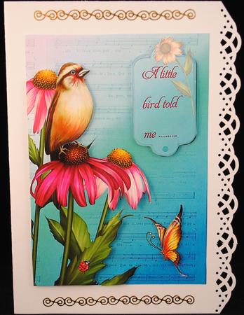 Little Bird by Yvonne Middleton