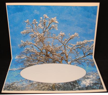 Christmas Scene Watercolour Insert 4 by Yvonne Middleton