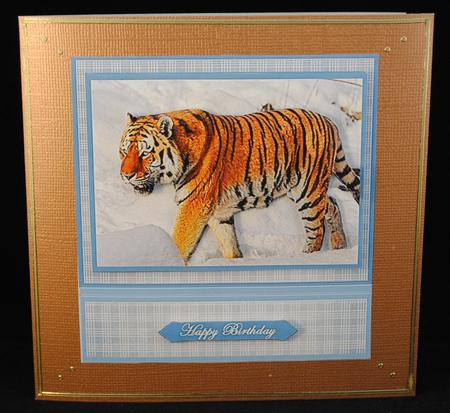 Siberian Tiger in the Snow by Yvonne Middleton