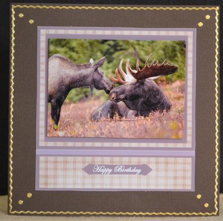 Alaskan Moose by Yvonne Middleton