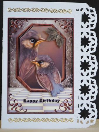 Male Card Birthday Birds by Yvonne Middleton