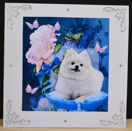 Rose Pomeranian Dog Portrait & Decoupage by Yvonne Middleton
