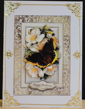 Fancy Butterfly Quick Card by Yvonne Middleton