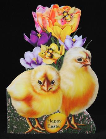 Easter Chicks and Flowers by Yvonne Middleton