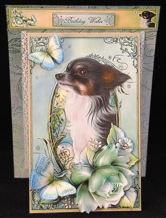 3 in 1 Paw Prints on Your Heart by Yvonne Middleton