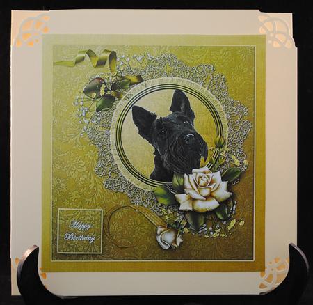 Scottish Terrier with Roses by Yvonne Middleton