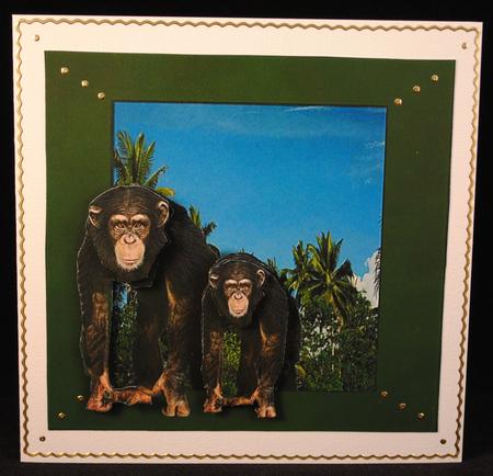 Monkey Out of the Frame by Yvonne Middleton