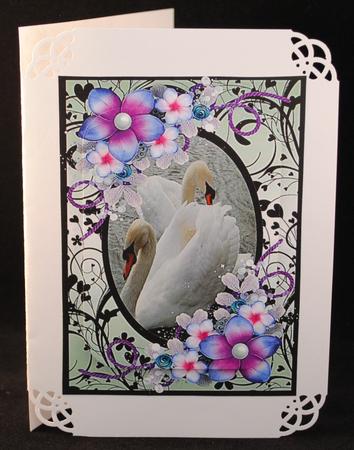 Swan Frame by Yvonne Middleton