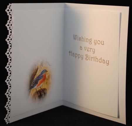Seasonal Birds 9 Insert by Yvonne Middleton
