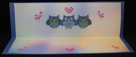 Have a Hoot! Insert by Yvonne Middleton