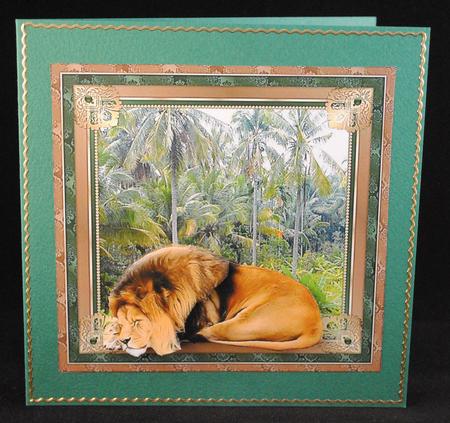 Lions Sleeps Tonight by Yvonne Middleton
