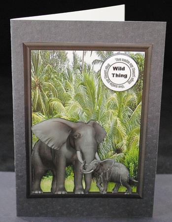 Wild Thing by Yvonne Middleton