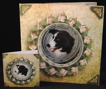 Border Collie Circle Pyramid Pop Through Mini Kit by Yvonne Middleton