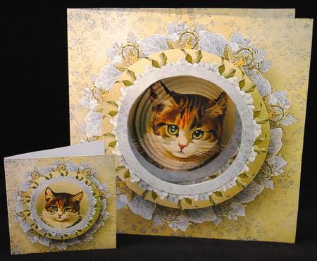 You're Purr-fect Circle Pyramid Pop Through Mini Kit by Yvonne Middleton