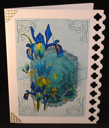 Dutch Iris Starburst Pyramage by Yvonne Middleton