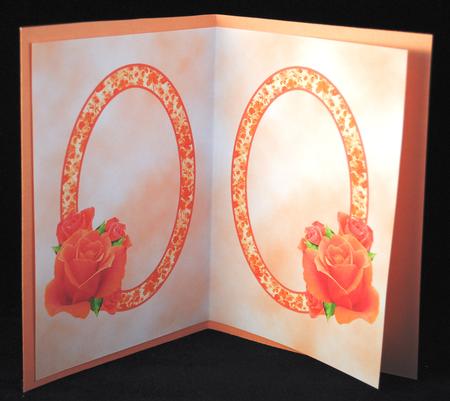 Insert Peach Roses by Yvonne Middleton