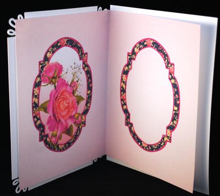 Insert Lilac & Peach Roses by Yvonne Middleton