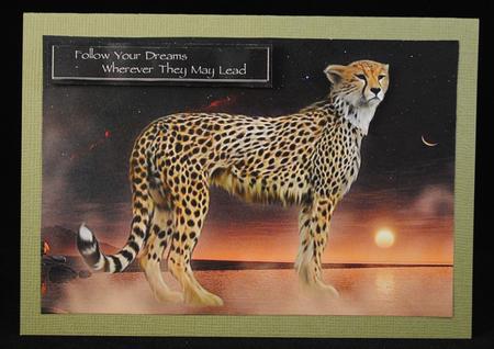 Cheetah Dreams by Yvonne Middleton