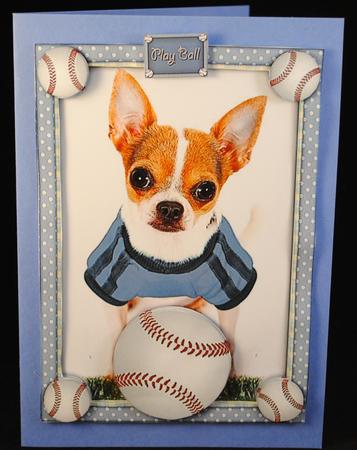 Play Ball! by Yvonne Middleton