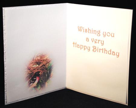 Seasonal Birds 12 Insert by Yvonne Middleton