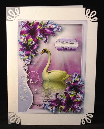 Serene Swan with Deep Purple Lilies by Yvonne Middleton