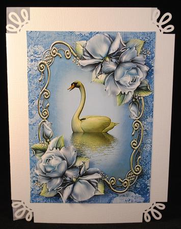 Soft Blue Roses Swan Reflection by Yvonne Middleton